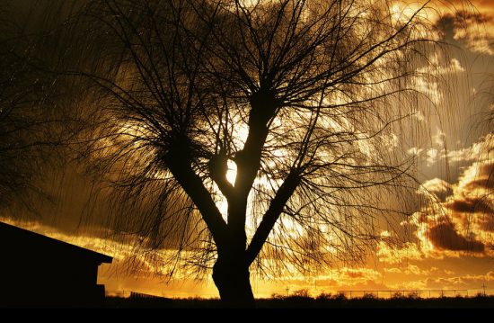 Trauerreden Katharina Krämer Trauerreden Katharina Krämer