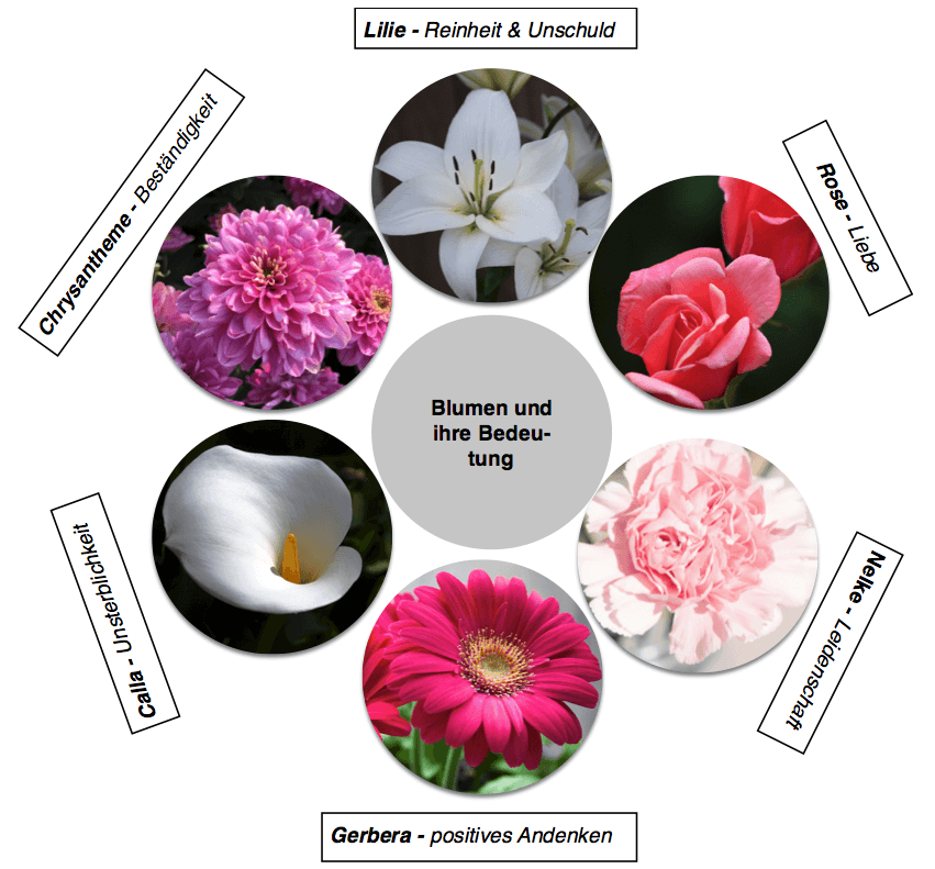 Blumen und ihre Bedeutung