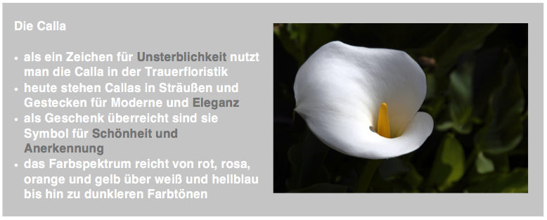 Die Calla