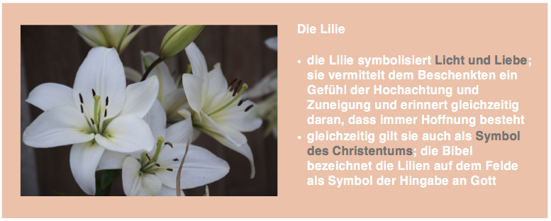 Die Lilie