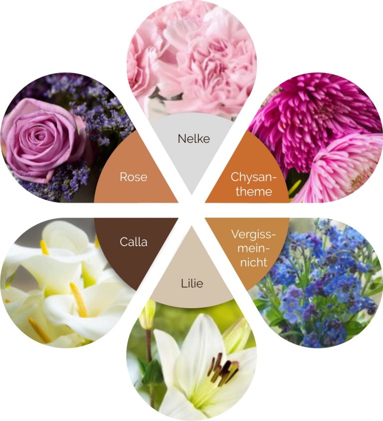? Welche Blumen zur Beerdigung & Trauerfeier mitbringen - Tops & Flops