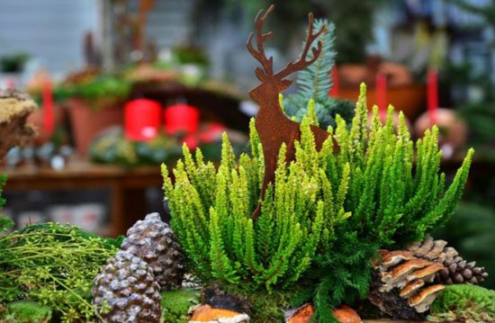 Grabpflege, Trauerfloristik & Friedhofsgärtnerei Jörg Arbeiter Grabpflege, Trauerfloristik & Friedhofsgärtnerei Jörg Arbeiter