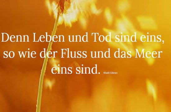 Trauerrednerin Daniela Dietz Trauerrednerin Daniela Dietz