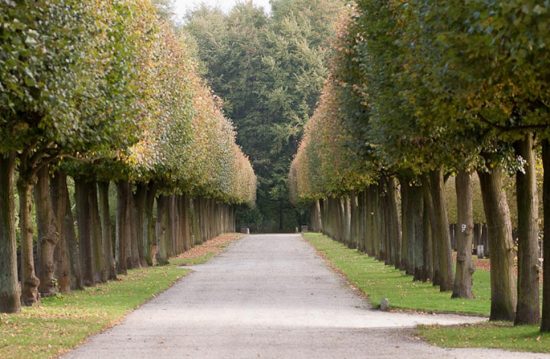 Die Trauerrednerin – Sieglinde A. Kestler Die Trauerrednerin – Sieglinde A. Kestler