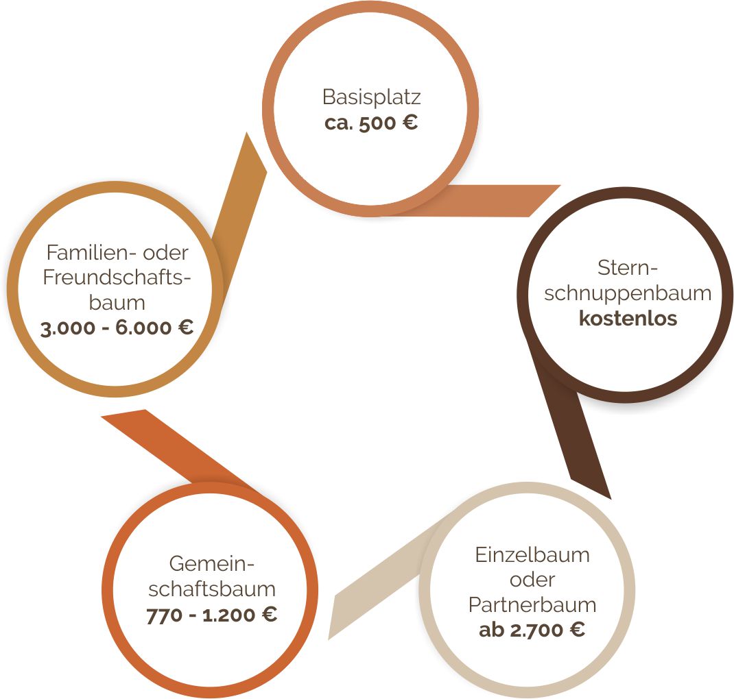 Baumauswahl