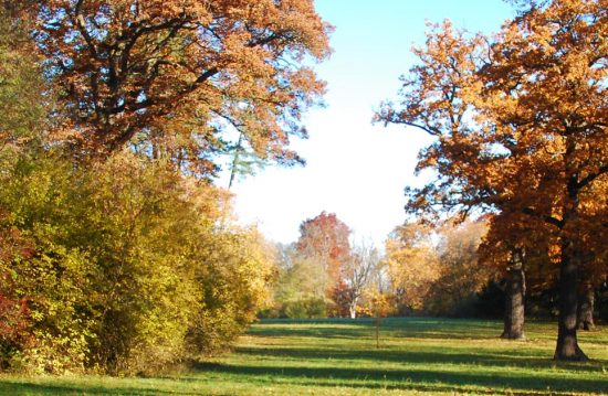 Trauerpädagogin/Trauerrednerin – Renate Felicitas Hartjenstein Trauerpädagogin/Trauerrednerin – Renate Felicitas Hartjenstein