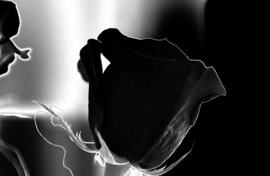 Trauerredner Michael Daub Trauerredner Michael Daub