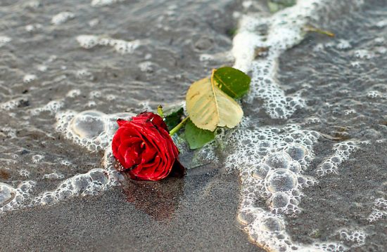 Trauerreden – Angelika Weber