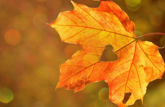 Städtische Friedhöfe von Aachen / Zentrale Friedhofsverwaltung Städtische Friedhöfe von Aachen / Zentrale Friedhofsverwaltung