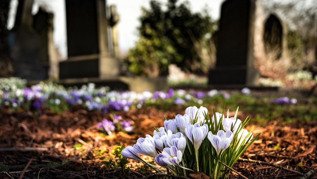 Bezirksamt Neukölln von Berlin / Friedhofsverwaltung Berlin-Neukölln