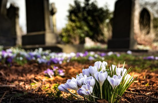 Bestattungen Rabe Bestattungen Rabe