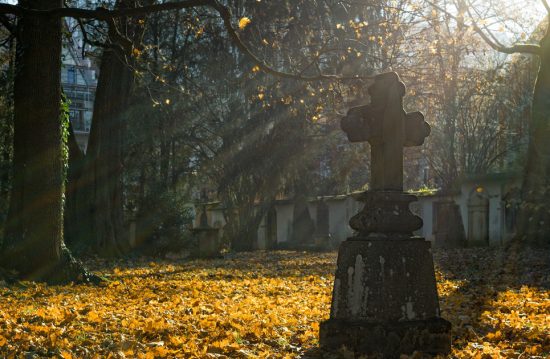 Der Fangelsbachfriedhof in Stuttgart-Süd