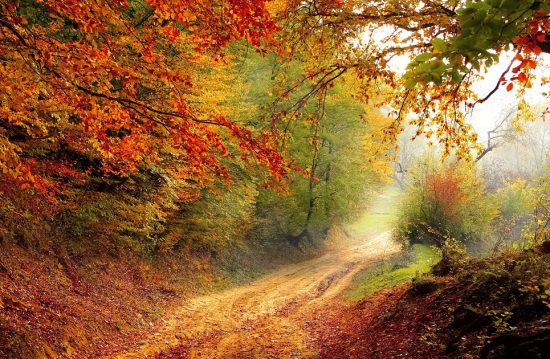 kirchliche Friedhöfe des Kirchenkreises Kiel / kirchliche Friedhofsverwaltung Kiel