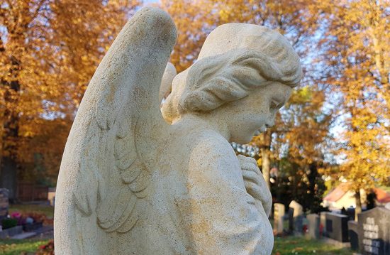 Friedhofsverwaltung & Friedhofsamt Frankenthal (Pfalz) – EFW Friedhofswesen Friedhofsverwaltung & Friedhofsamt Frankenthal (Pfalz) – EFW Friedhofswesen