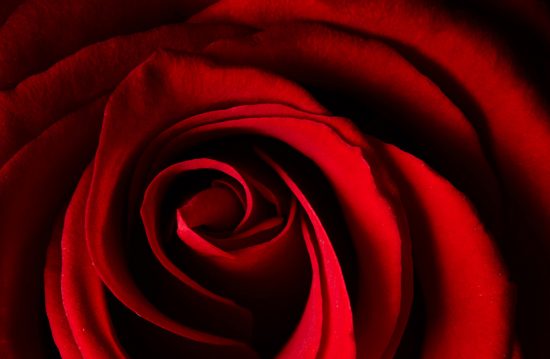 Edgar Theisen-Haas Trauerreden SCI VIAS Saar Edgar Theisen-Haas Trauerreden SCI VIAS Saar