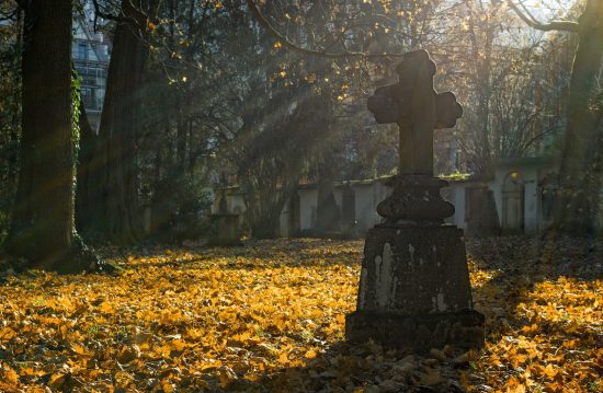 Städtische Friedhöfe von Jena / Allgemeine Friedhofsverwaltung Städtische Friedhöfe von Jena / Allgemeine Friedhofsverwaltung