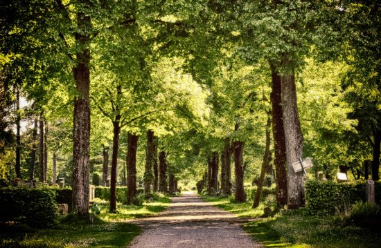 Städtische Friedhöfe von Koblenz / Allgemeine Friedhofsverwaltung Städtische Friedhöfe von Koblenz / Allgemeine Friedhofsverwaltung