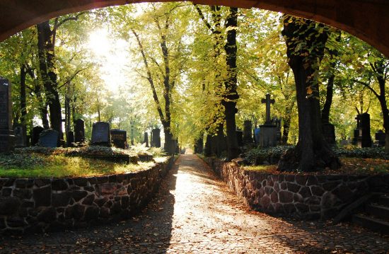 Städtische Friedhöfe von Offenbach am Main / Allgemeine Friedhofsverwaltung Städtische Friedhöfe von Offenbach am Main / Allgemeine Friedhofsverwaltung