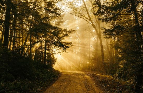 Städtische Friedhöfe von Remscheid / Allgemeine Friedhofsverwaltung Städtische Friedhöfe von Remscheid / Allgemeine Friedhofsverwaltung