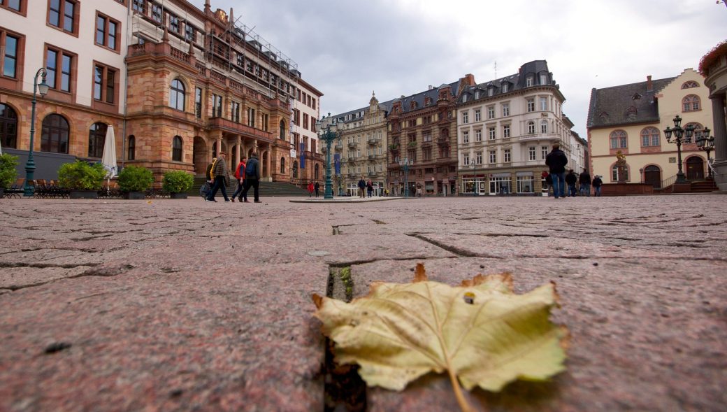 Rümpel Meister Wiesbaden – Entrümpelungen & Wohnungsauflösungen