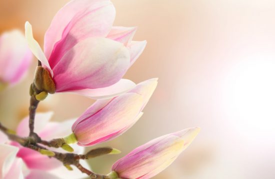 Andreas Kliche Bestattungen