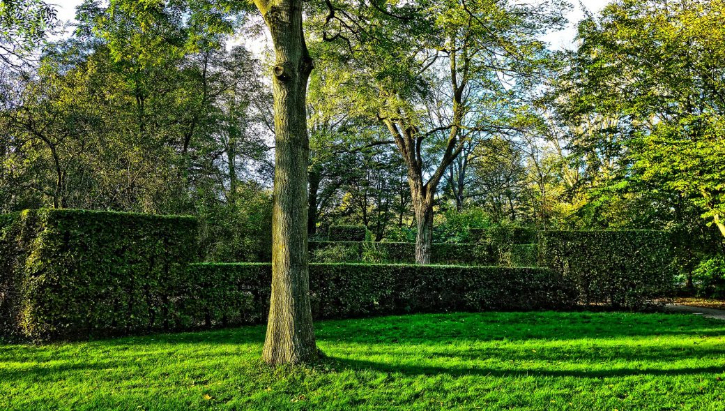 Städtische Friedhöfe von Arnsberg / Allgemeine Friedhofsverwaltung