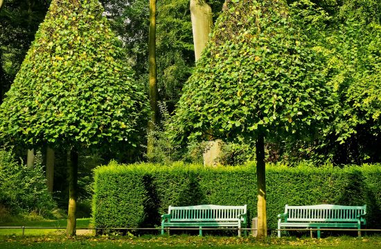 Städtische Friedhöfe von Bocholt / Allgemeine Friedhofsverwaltung