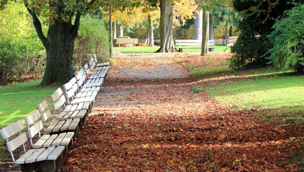 Städtische Friedhöfe von Brandenburg an der Havel / Allgemeine Friedhofsverwaltung