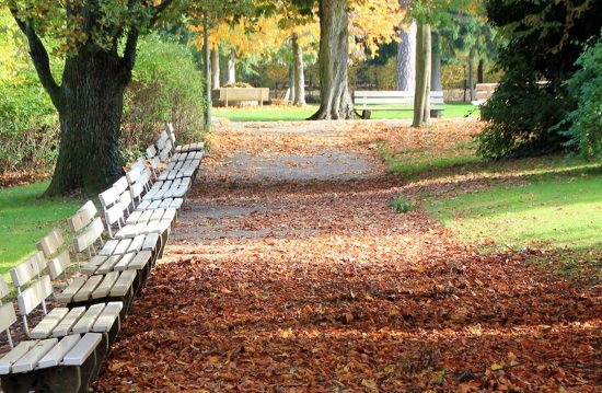 Städtische Friedhöfe von Brandenburg an der Havel / Allgemeine Friedhofsverwaltung Städtische Friedhöfe von Brandenburg an der Havel / Allgemeine Friedhofsverwaltung