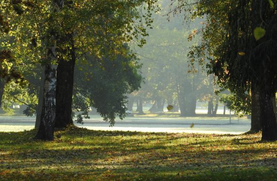 Städtische Friedhöfe von Castrop-Rauxel / Allgemeine Friedhofsverwaltung