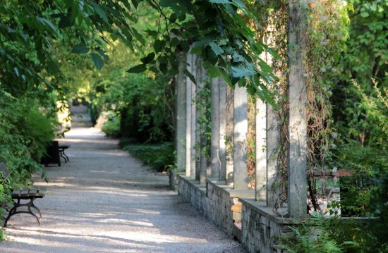 Städtische Friedhöfe von Celle / Allgemeine Friedhofsverwaltung Städtische Friedhöfe von Celle / Allgemeine Friedhofsverwaltung