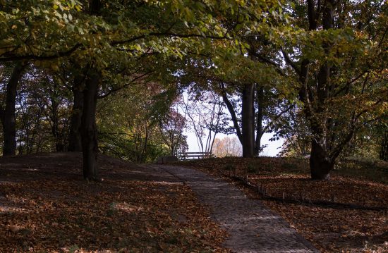 Städtische Friedhöfe von Dorsten / Allgemeine Friedhofsverwaltung