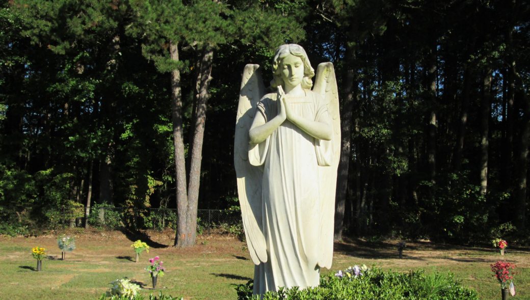 Der Buchrainfriedhof in Stuttgart-Vaihingen