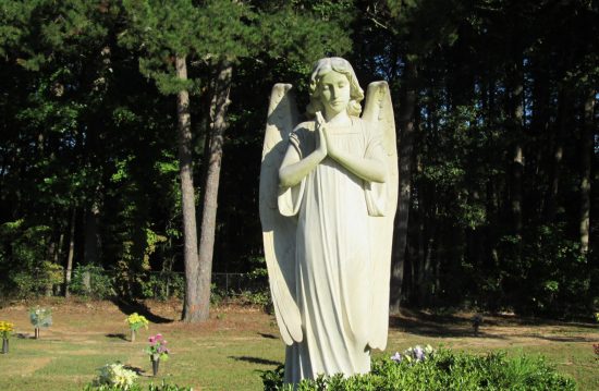 Der Buchrainfriedhof in Stuttgart-Vaihingen