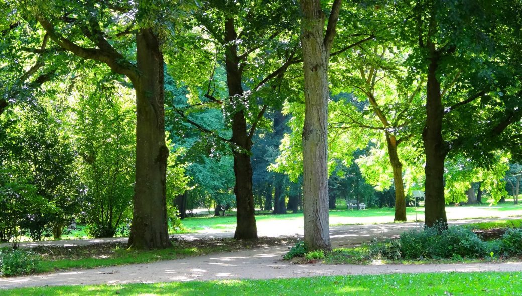 Städtische Friedhöfe von Gladbeck / Allgemeine Friedhofsverwaltung