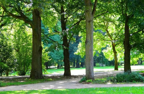 Städtische Friedhöfe von Gladbeck / Allgemeine Friedhofsverwaltung
