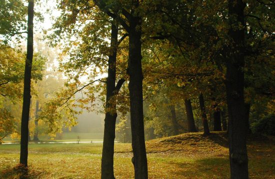 Städtische Friedhöfe von Grevenbroich / Allgemeine Friedhofsverwaltung Städtische Friedhöfe von Grevenbroich / Allgemeine Friedhofsverwaltung
