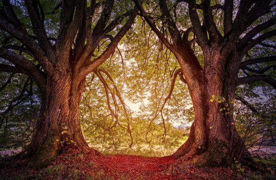 Städtische Friedhöfe von Gütersloh / Allgemeine Friedhofsverwaltung Städtische Friedhöfe von Gütersloh / Allgemeine Friedhofsverwaltung
