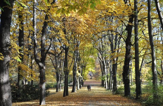 Städtische Friedhöfe von Hanau / Allgemeine Friedhofsverwaltung Städtische Friedhöfe von Hanau / Allgemeine Friedhofsverwaltung