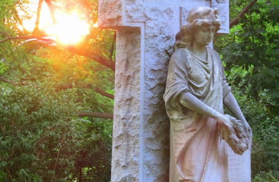 Städtische Friedhöfe von Hildesheim / Allgemeine Friedhofsverwaltung Städtische Friedhöfe von Hildesheim / Allgemeine Friedhofsverwaltung