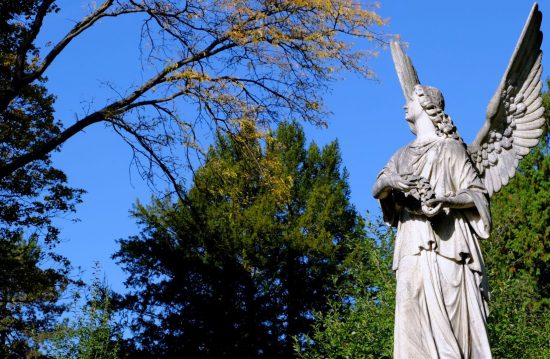 Städtische Friedhöfe von Marl / Allgemeine Friedhofsverwaltung Städtische Friedhöfe von Marl / Allgemeine Friedhofsverwaltung