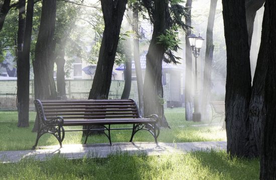Städtische Friedhöfe von Minden / Allgemeine Friedhofsverwaltung Städtische Friedhöfe von Minden / Allgemeine Friedhofsverwaltung