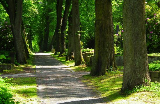 Kirchliche Friedhöfe von Neumünster / Allgemeine Friedhofsverwaltung Kirchliche Friedhöfe von Neumünster / Allgemeine Friedhofsverwaltung