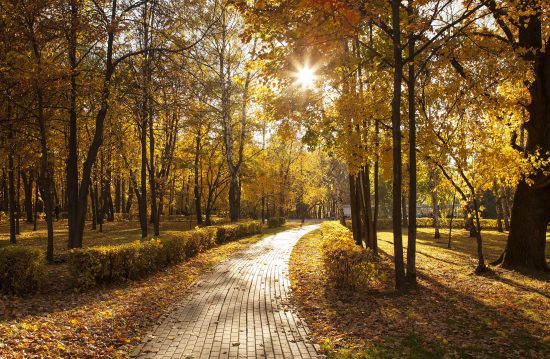 Städtische Friedhöfe von Norderstedt / Allgemeine Friedhofsverwaltung Städtische Friedhöfe von Norderstedt / Allgemeine Friedhofsverwaltung