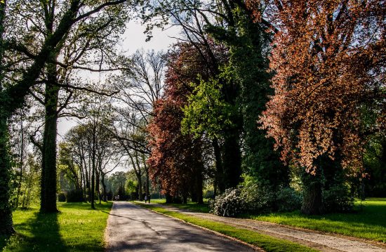 Städtische Friedhöfe von Schwäbisch Gmünd / Allgemeine Friedhofsverwaltung