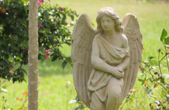 Städtische Friedhöfe von Sindelfingen / Allgemeine Friedhofsverwaltung