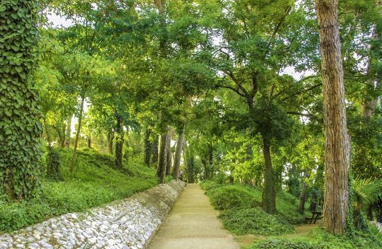 Städtische Friedhöfe von Troisdorf / Allgemeine Friedhofsverwaltung Städtische Friedhöfe von Troisdorf / Allgemeine Friedhofsverwaltung
