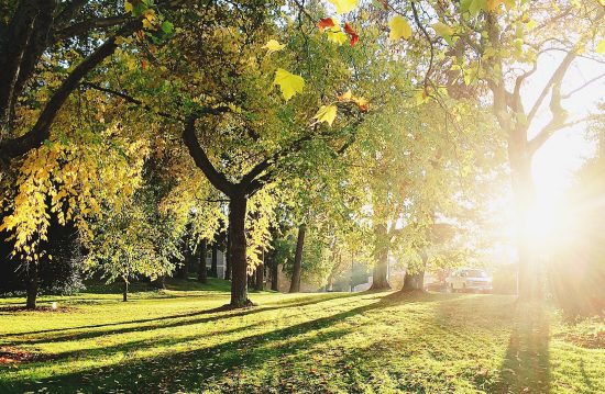 Städtische Friedhöfe von Velbert / Allgemeine Friedhofsverwaltung Städtische Friedhöfe von Velbert / Allgemeine Friedhofsverwaltung