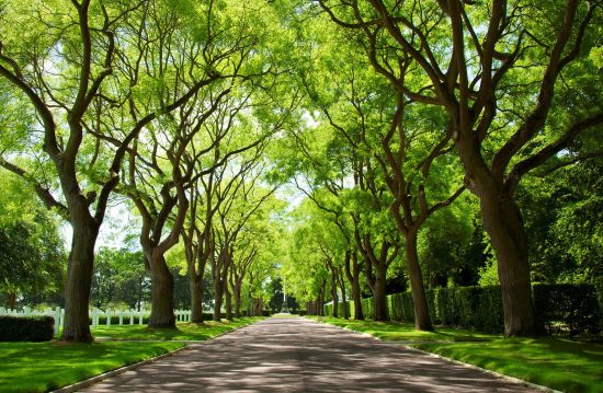 Städtische Friedhöfe von Worms / Allgemeine Friedhofsverwaltung Städtische Friedhöfe von Worms / Allgemeine Friedhofsverwaltung