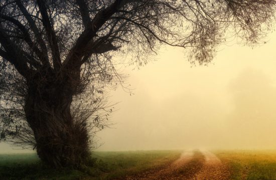 Josef Evers – Trauerredner & Grabredner Josef Evers – Trauerredner & Grabredner